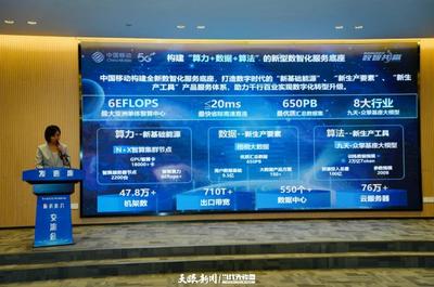 深化合作，共筑數(shù)智未來 貴安新區(qū)“2024年數(shù)據(jù)中心服務(wù)”推介交流會(huì)圓滿舉行
